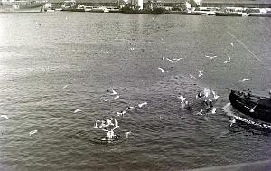 ORAN 1934 1937  (10)